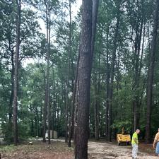 Front-Yard-Cleared-Out-Storm-Damage-in-Denton-MD 1